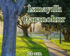 1520 metr yüksəklikdə İsmayilli Qaranohurgöl Turu