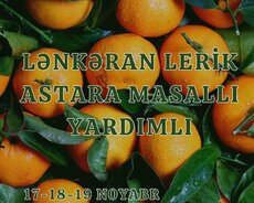 3 günlük Lənkəran Lerik Astara Masallı turu