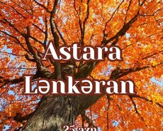 Möhtəşəm Lənkəran Astara Sitrus turu