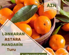 Lənkəran - Astara Sitrus Turu