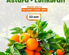 Lənkəran Astara sitrus turu