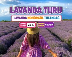 Qəbələ Lavanda turu