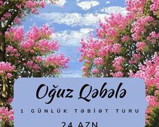 Специальный тур по Бахаре Огуз Габала