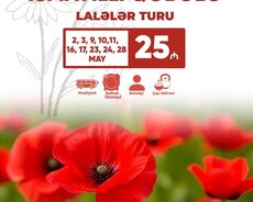 İsmayıllı Qəbələ Lalələr turu