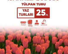 İsmayıllı Qəbələ tülpan turu