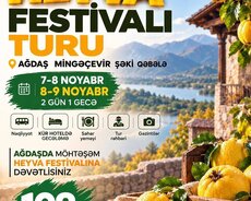 Ağdaş Heyva festivalı Şəki Qəbələ turu