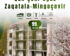 Zaqatala Qəbələ Qax Şəki Mingəçevir turu