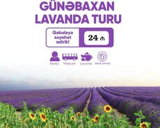 1 günlük İsmayıllı Günəbaxan turu