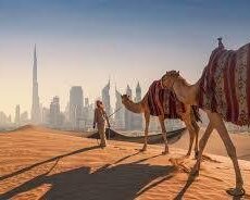 Dubai turu Qaynar qiyməte