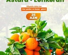 Lənkəran Astara sitrus turu
