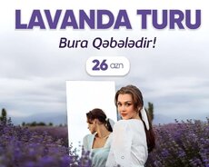 Qəbələ Lavanda Turu