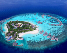 Maldiv turu