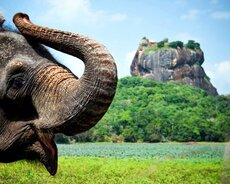 Увлекательное Шри-Ланка Путешествие
