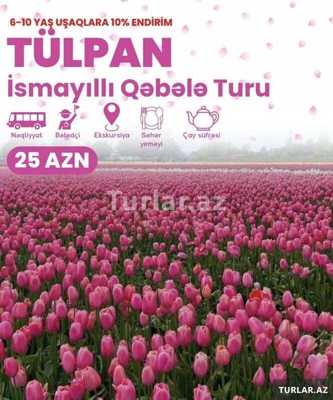 İsmayıllı, Qəbələ İsmayıllı, Qəbələ