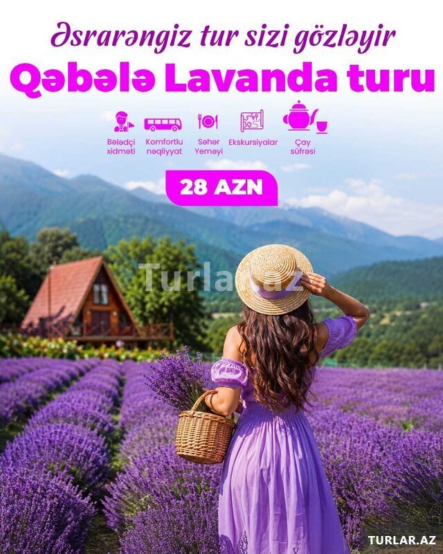 Qəbələ Lavanda turu Qəbələ Lavanda turu
