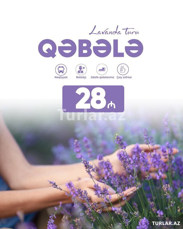 Qəbələ lavanda turu Qəbələ lavanda turu