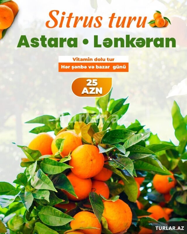 Sitrus Astara Lənkaran Turu Sitrus Astara Lənkaran Turu