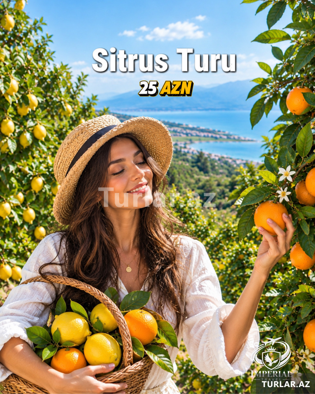 Lənkəran • Astara • Sitrus turu Lənkəran • Astara • Sitrus turu