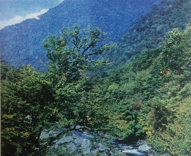 Zaqatalada Gəzməli yerlər