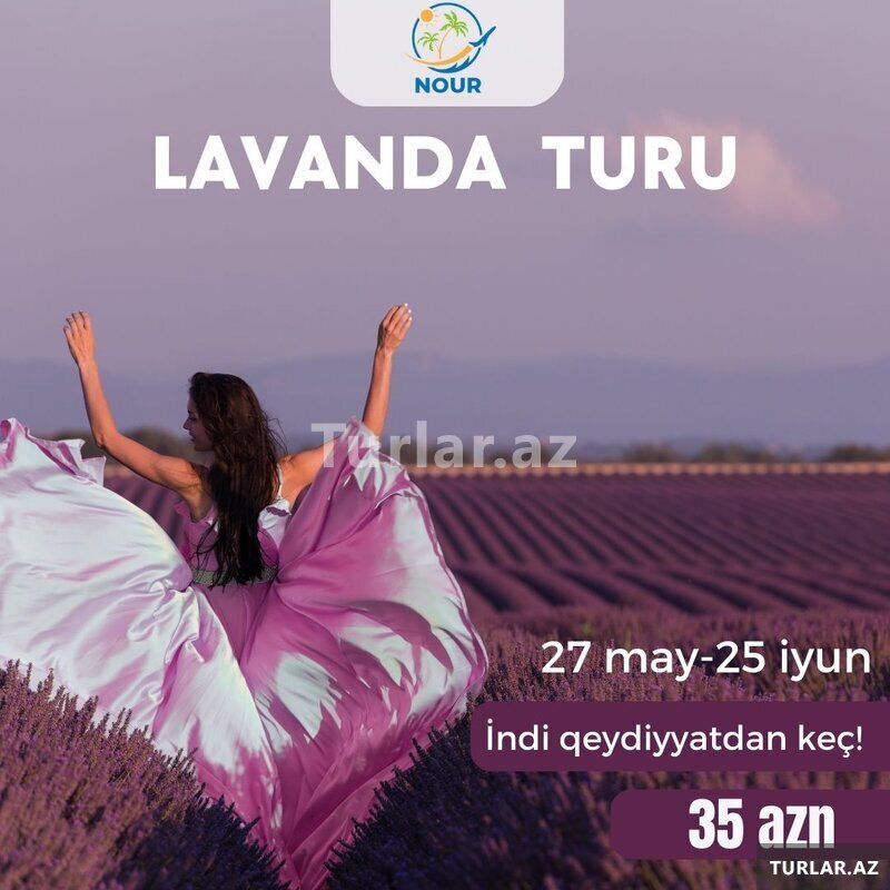 Lavanda Turu Lavanda Turu